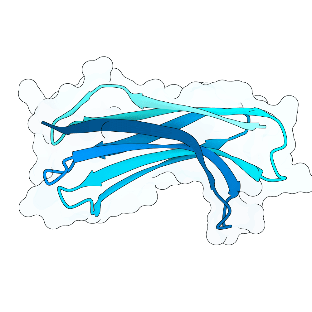 green-seal-clay