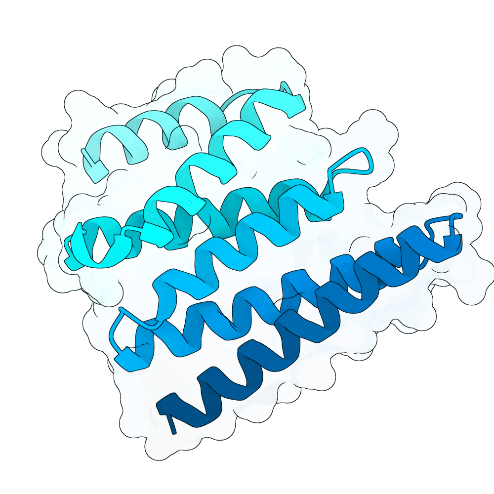 deep-quail-wave