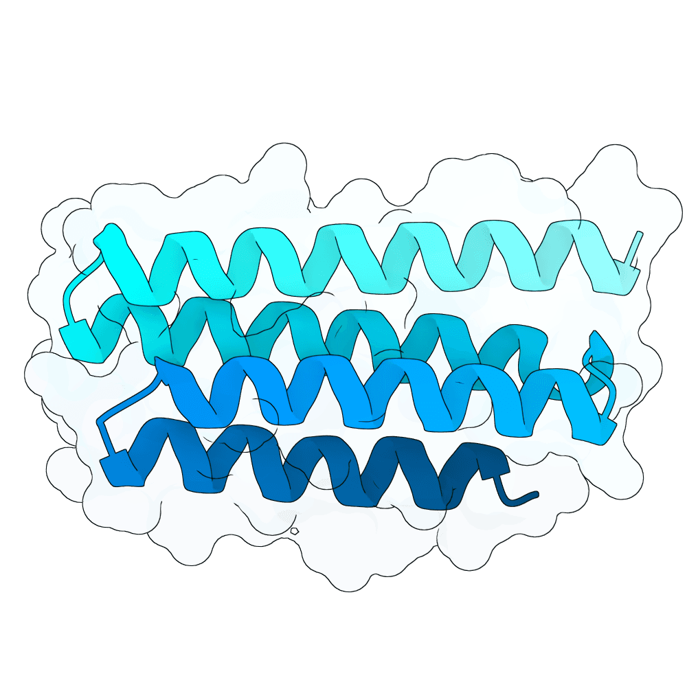 quiet-gecko-flint
