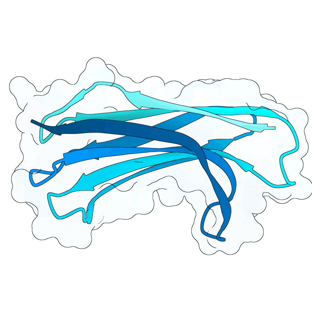 silent-seal-stone