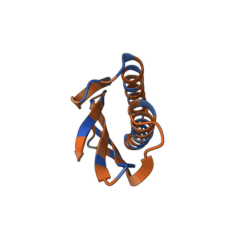 brisk-ibis-wave