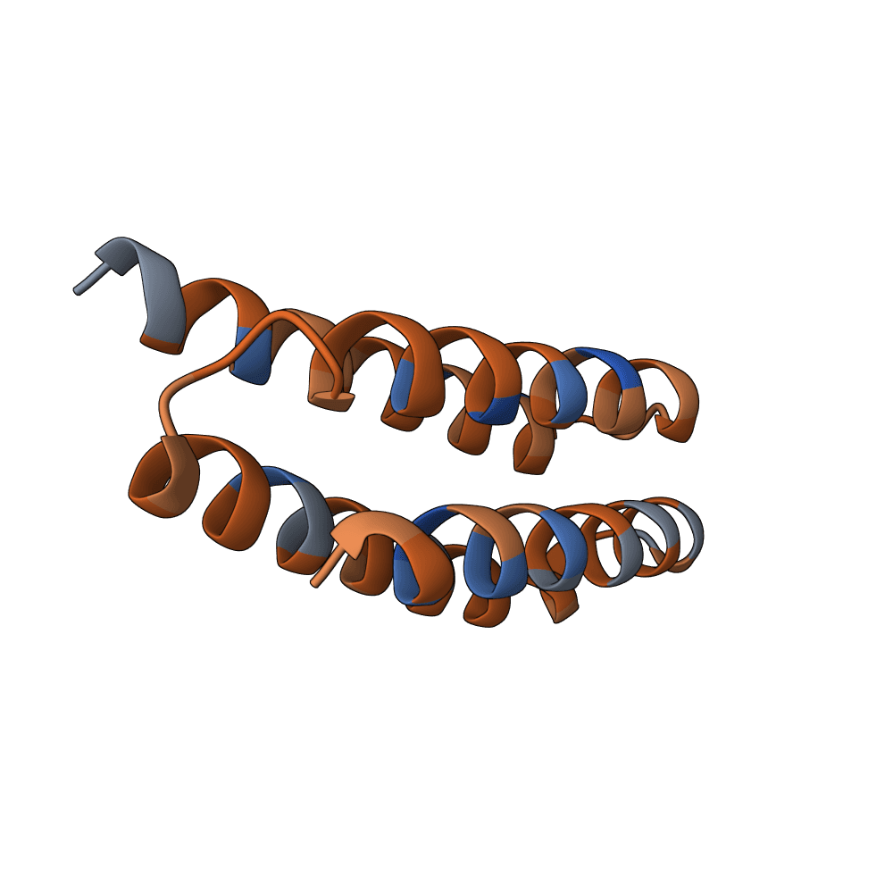 dark-lion-fern