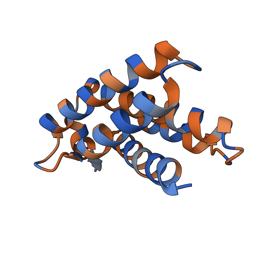 hollow-jaguar-reed
