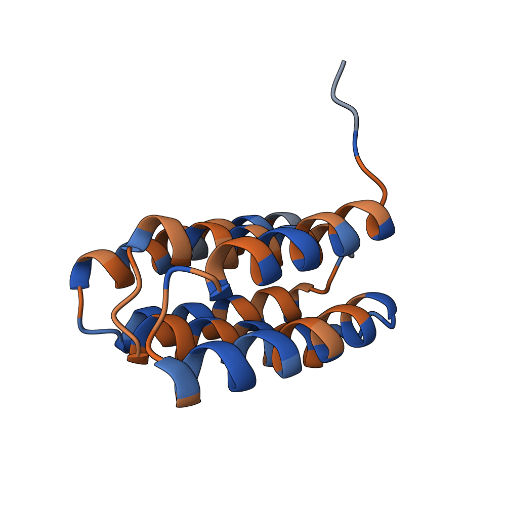 noble-tiger-reed