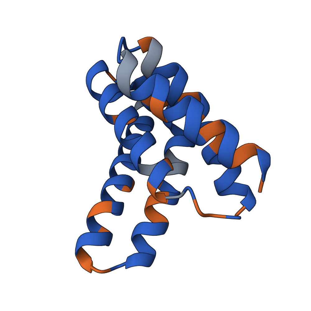 radiant-ant-topaz