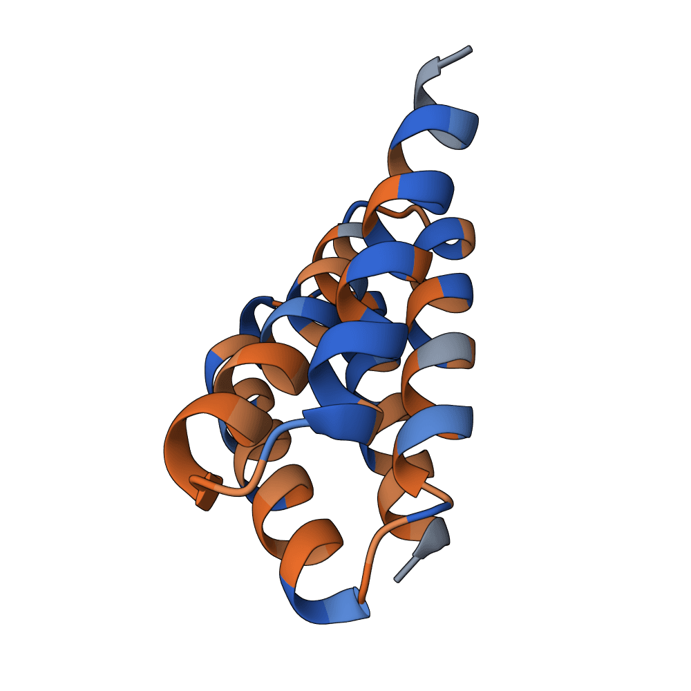 radiant-seal-ivy