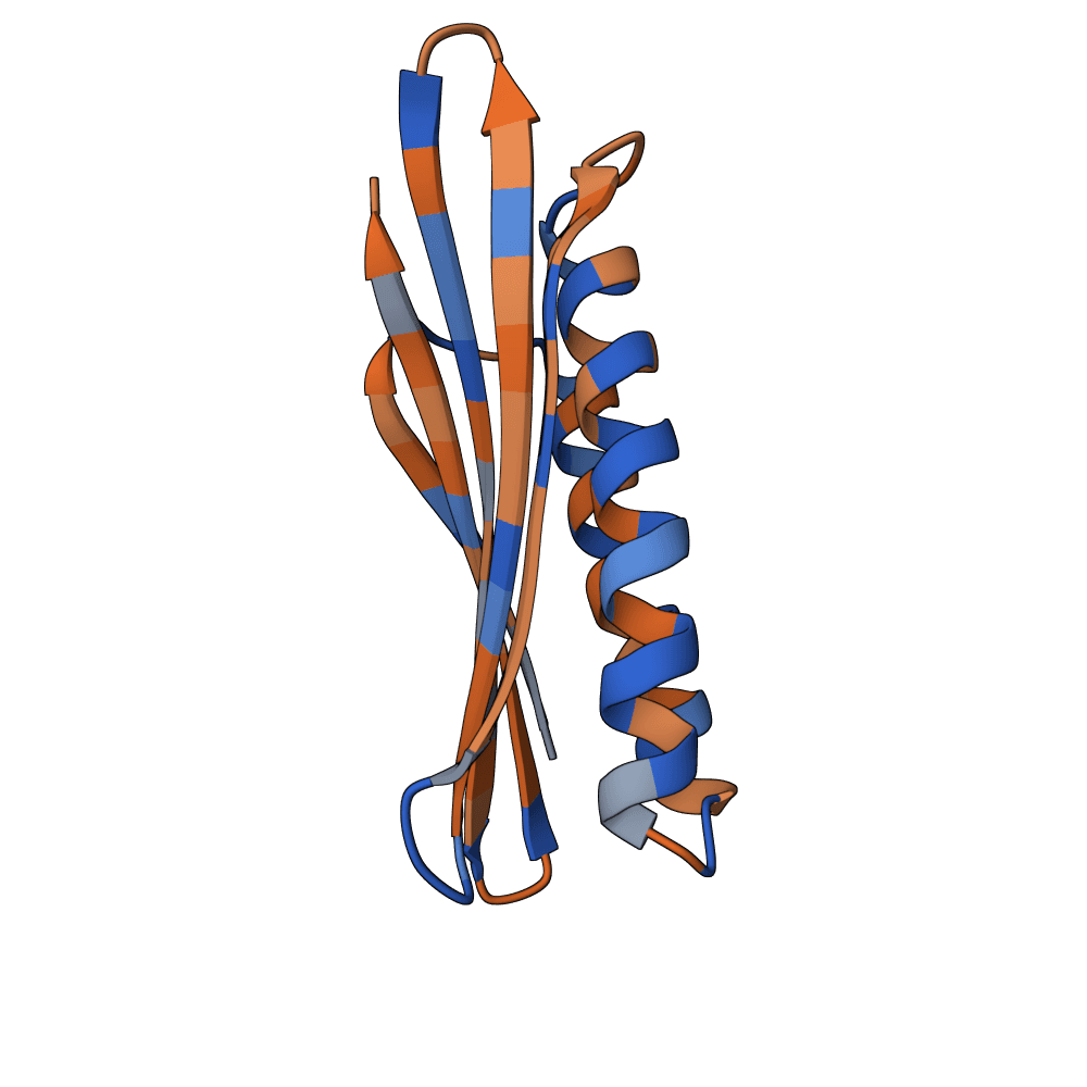 radiant-shark-reed