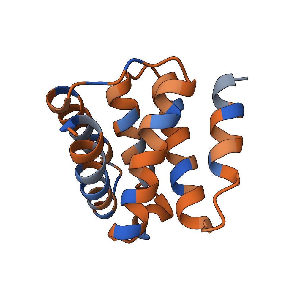 rapid-boar-vine