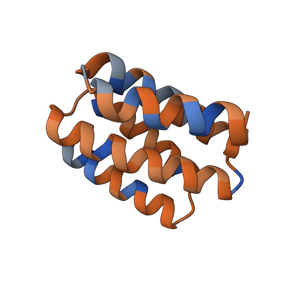 rapid-gecko-thorn