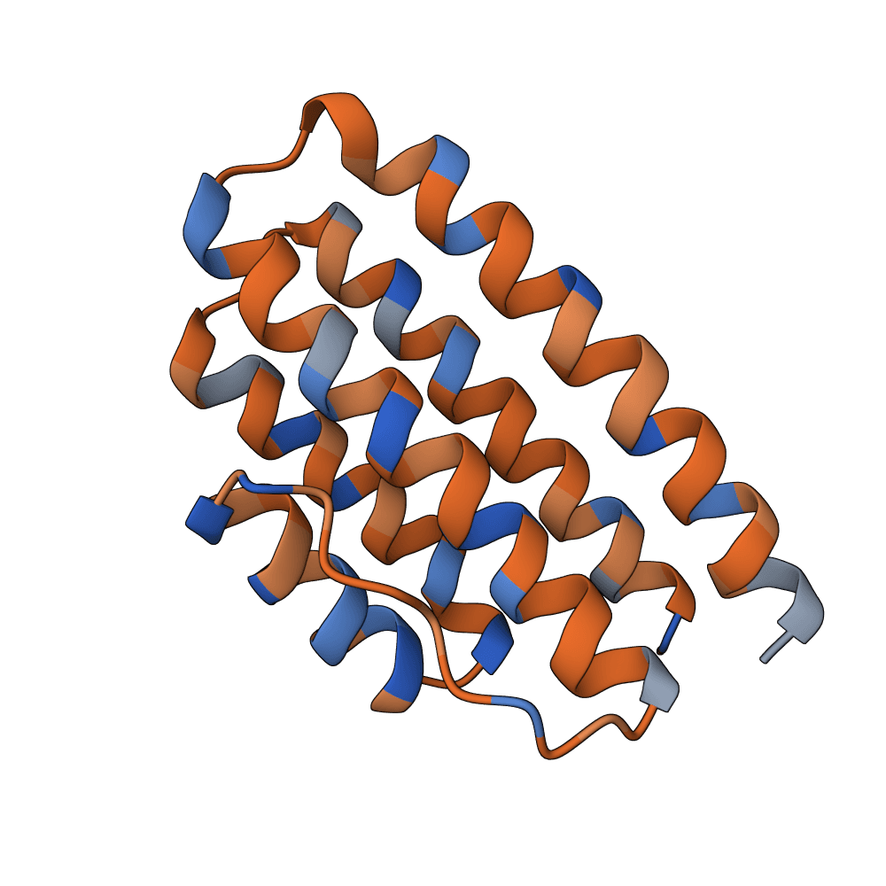 rapid-ibis-wave