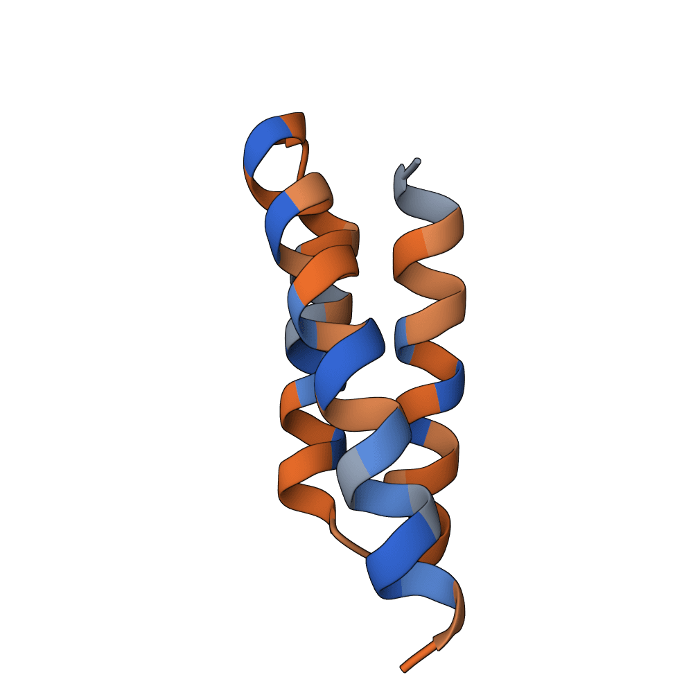 rapid-tiger-leaf