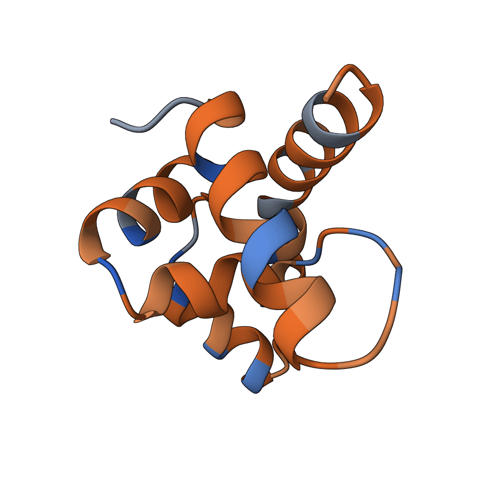 silent-ant-topaz