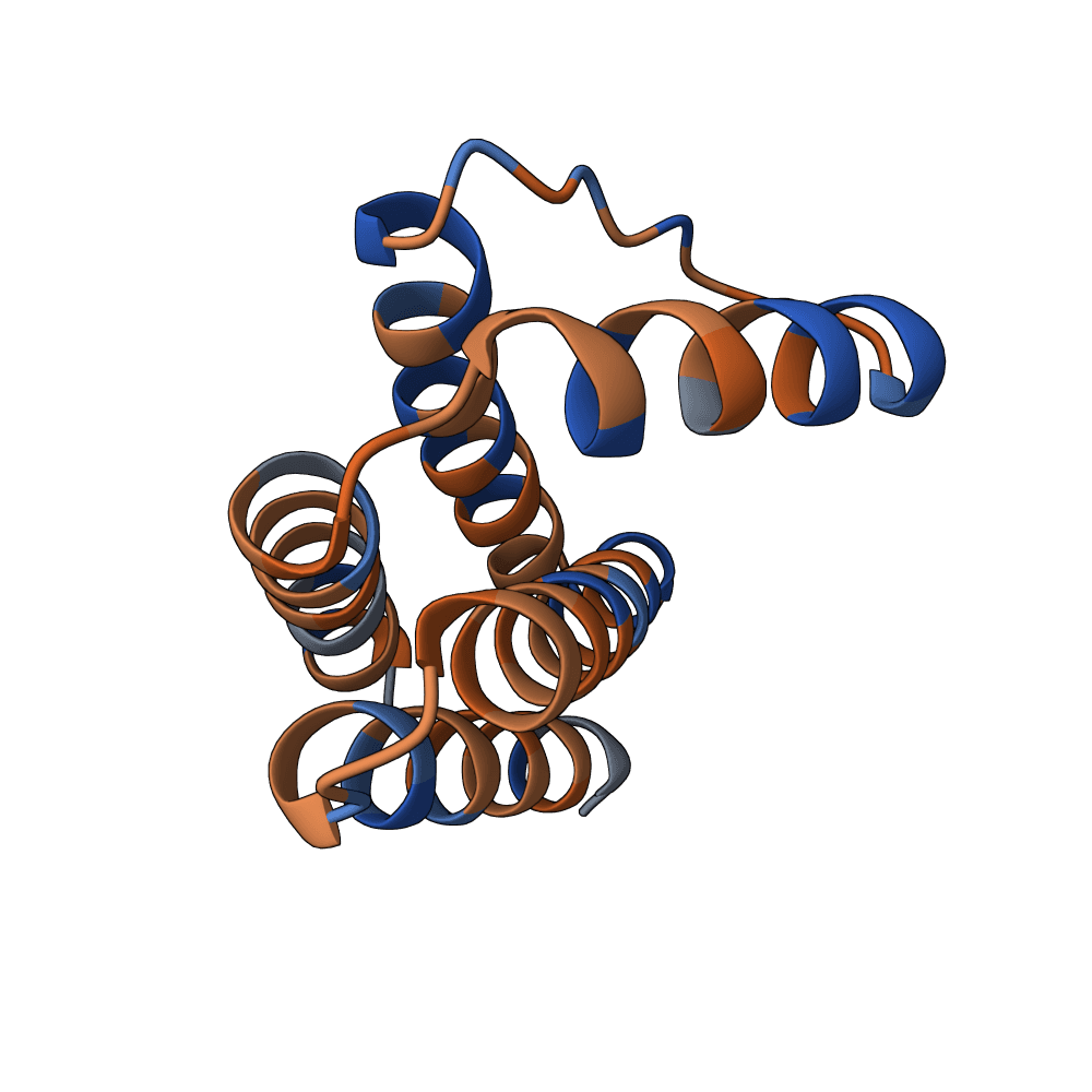 small-moth-fern