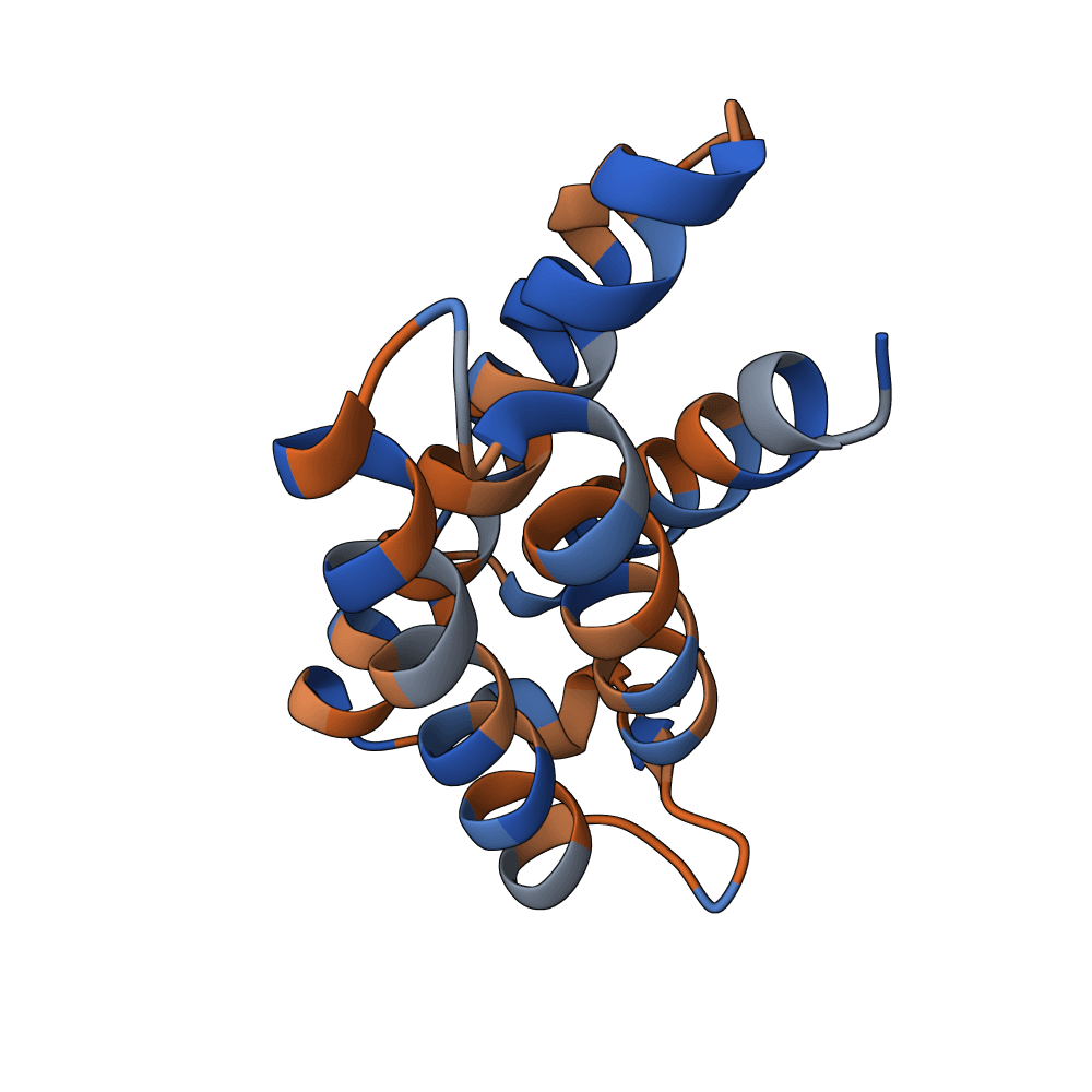 soft-gecko-clay