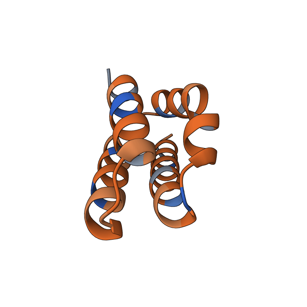 strong-swan-wave