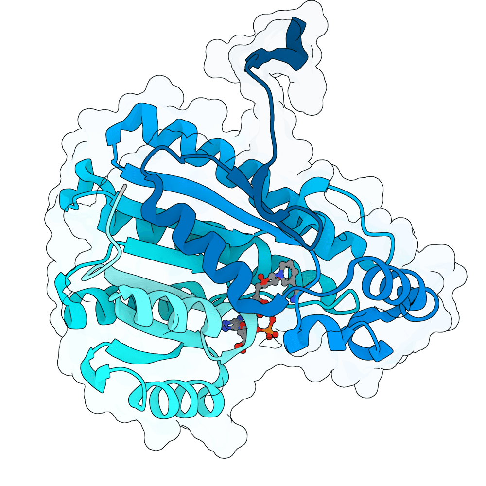 15-PGDH structure preview