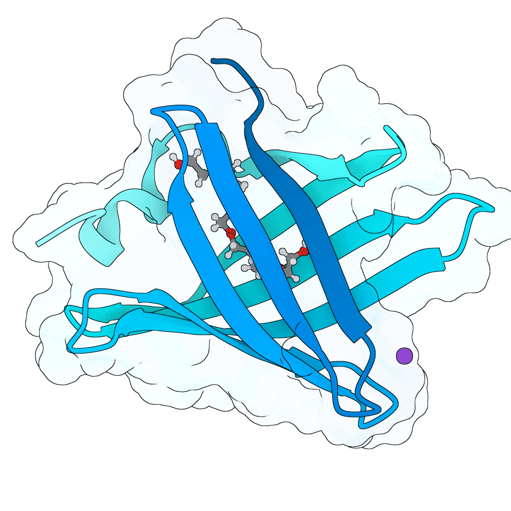 BBF-14 structure preview