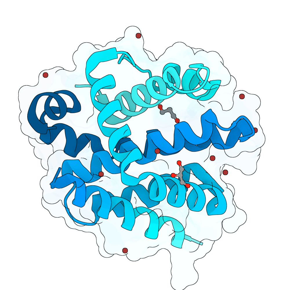 BHRF1 structure preview