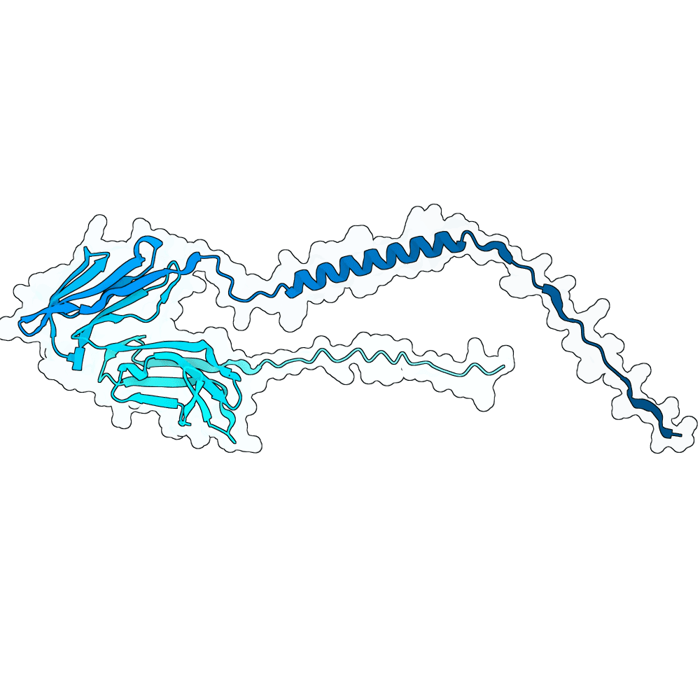 CD16-2 (Mouse Fc gamma R4) structure preview
