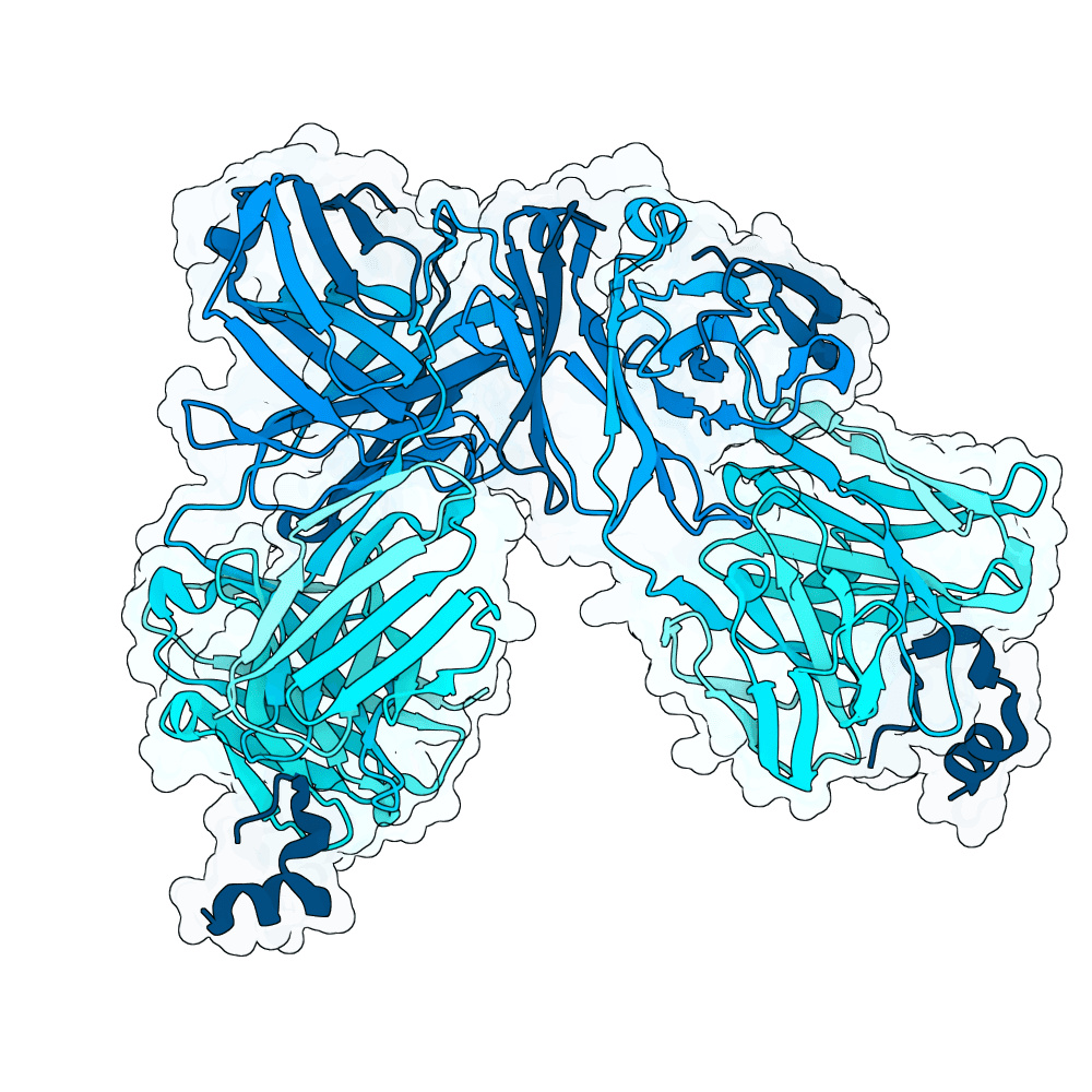 Human CD20 structure preview