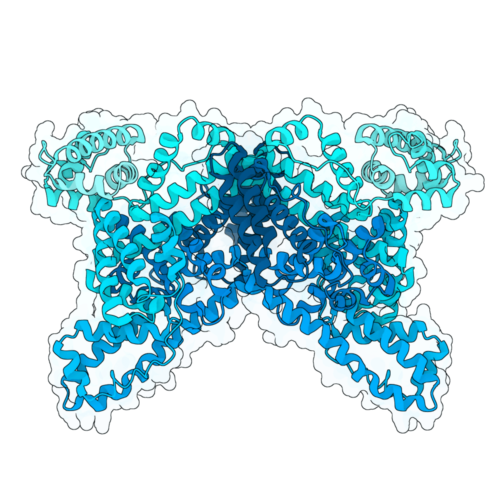 Human Serum Albumin structure preview