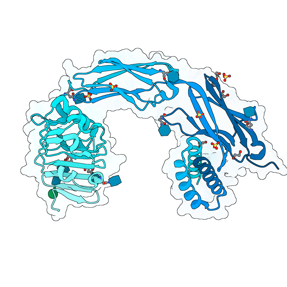 Human TrkA / NTRK1 (33-417) Protein structure preview