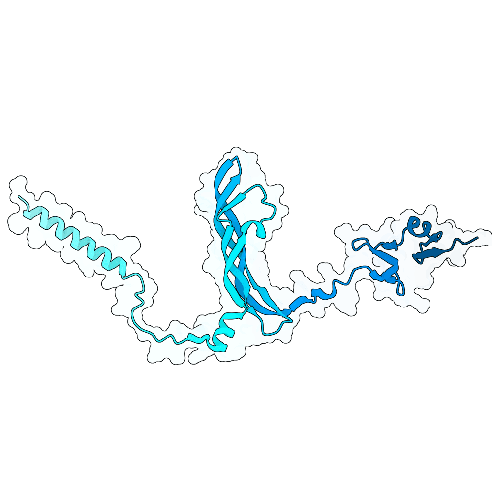 Human VEGF165 structure preview