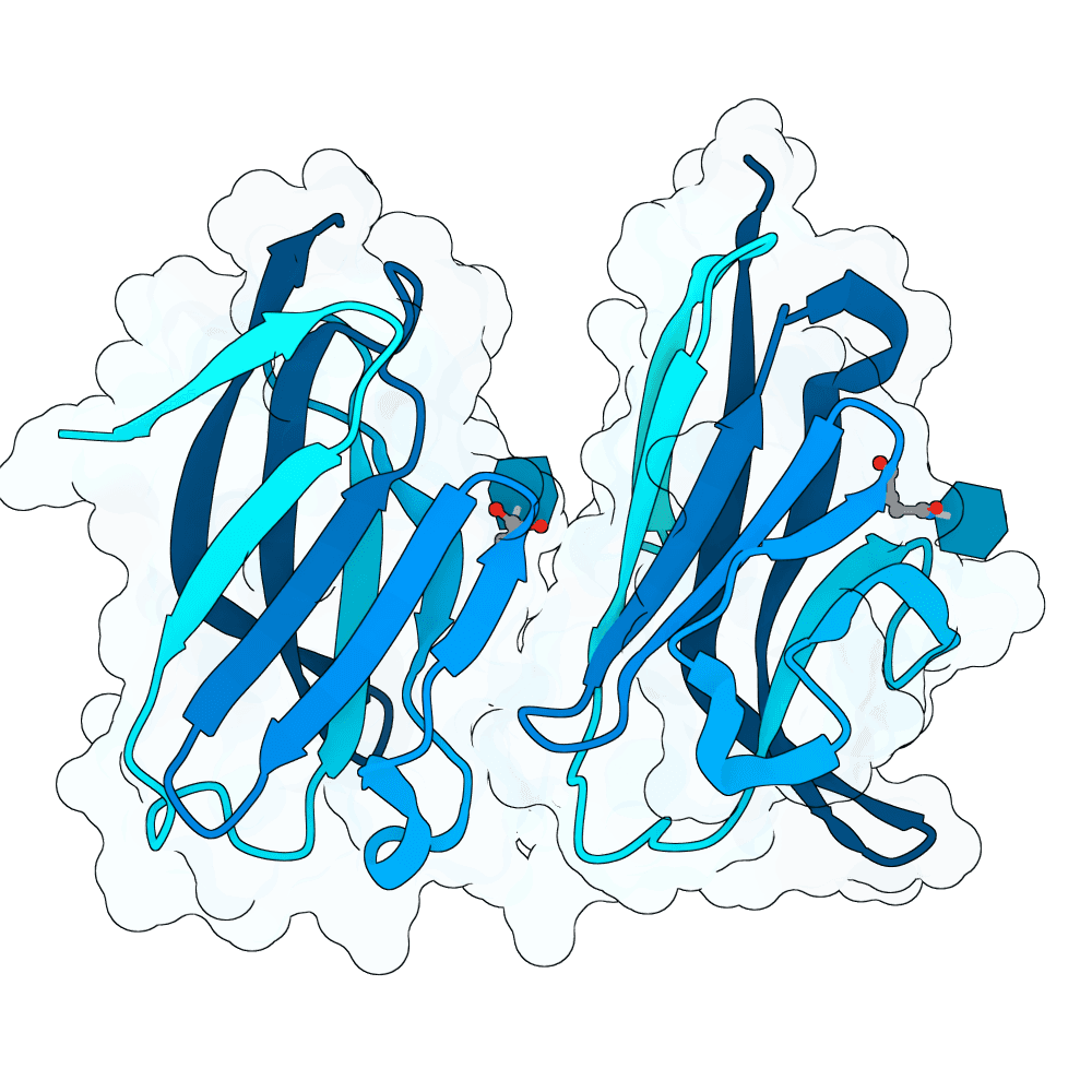 TREM2 structure preview