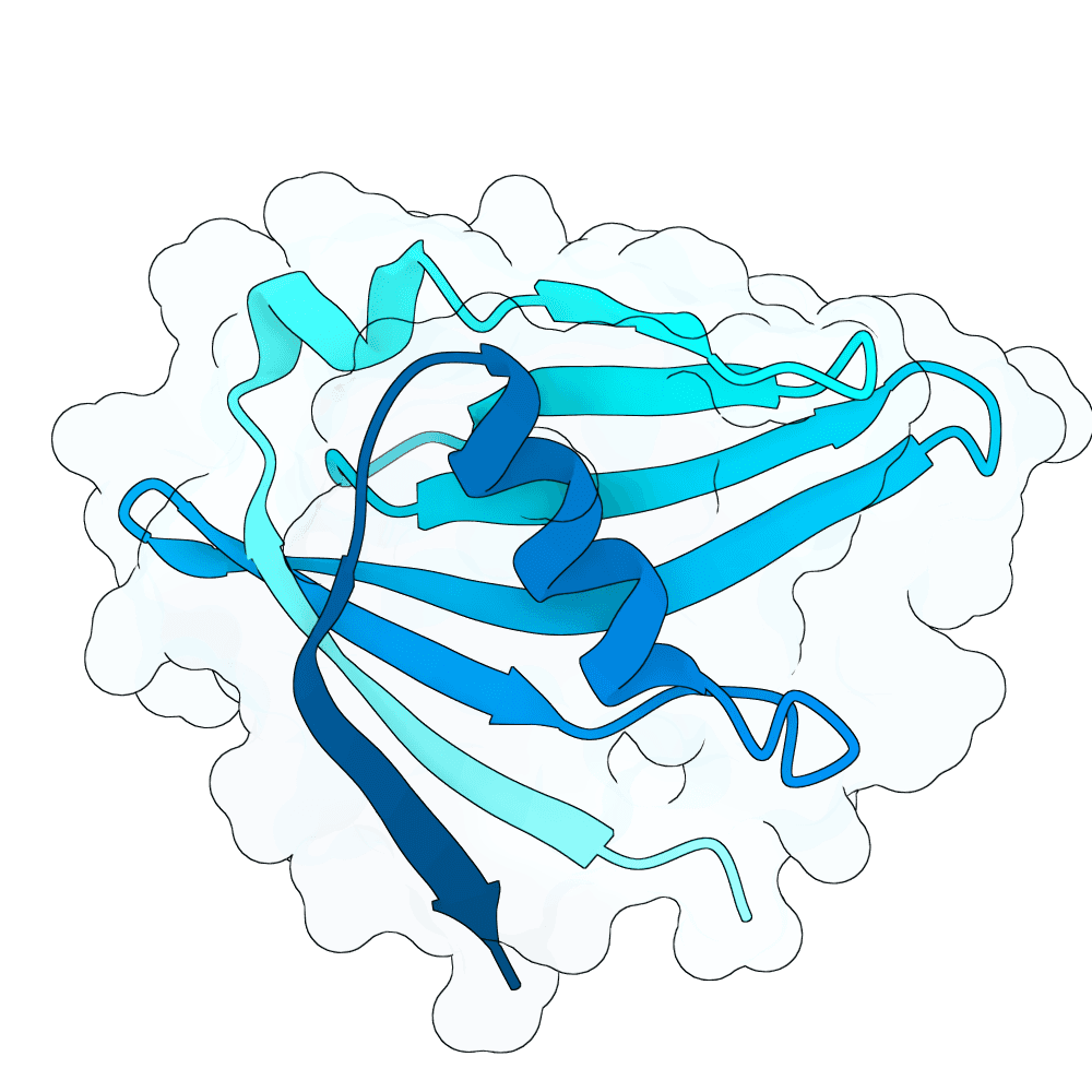 jade-jaguar-frost