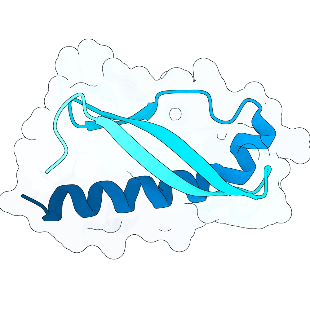 young-cobra-plume