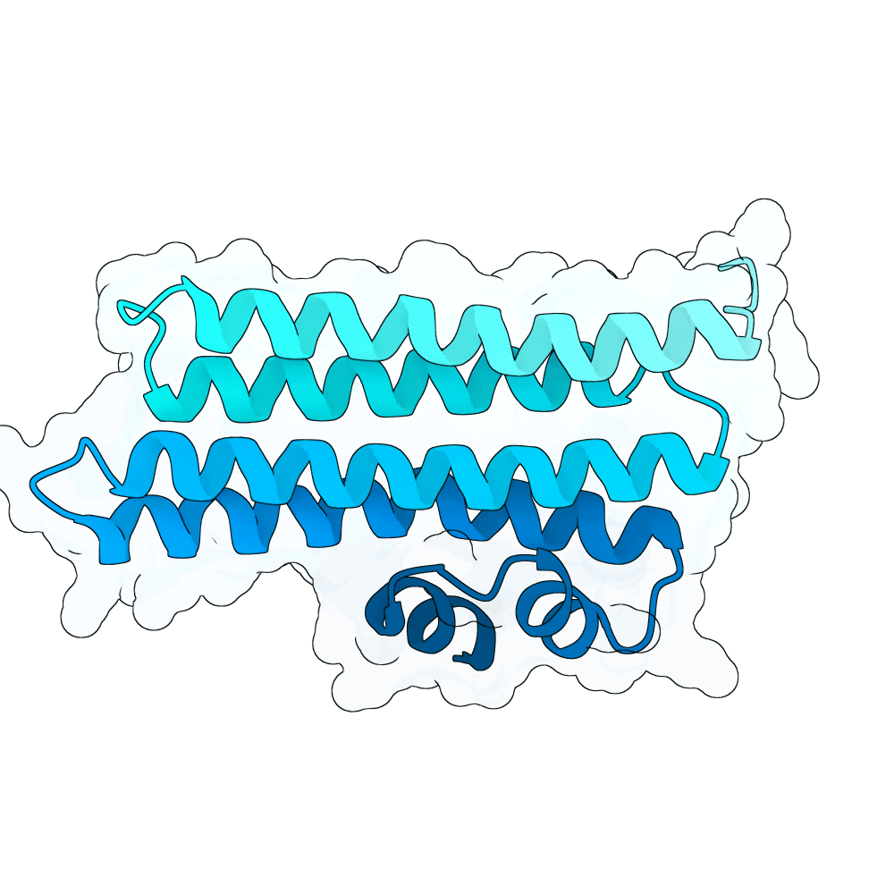 jade-lion-granite