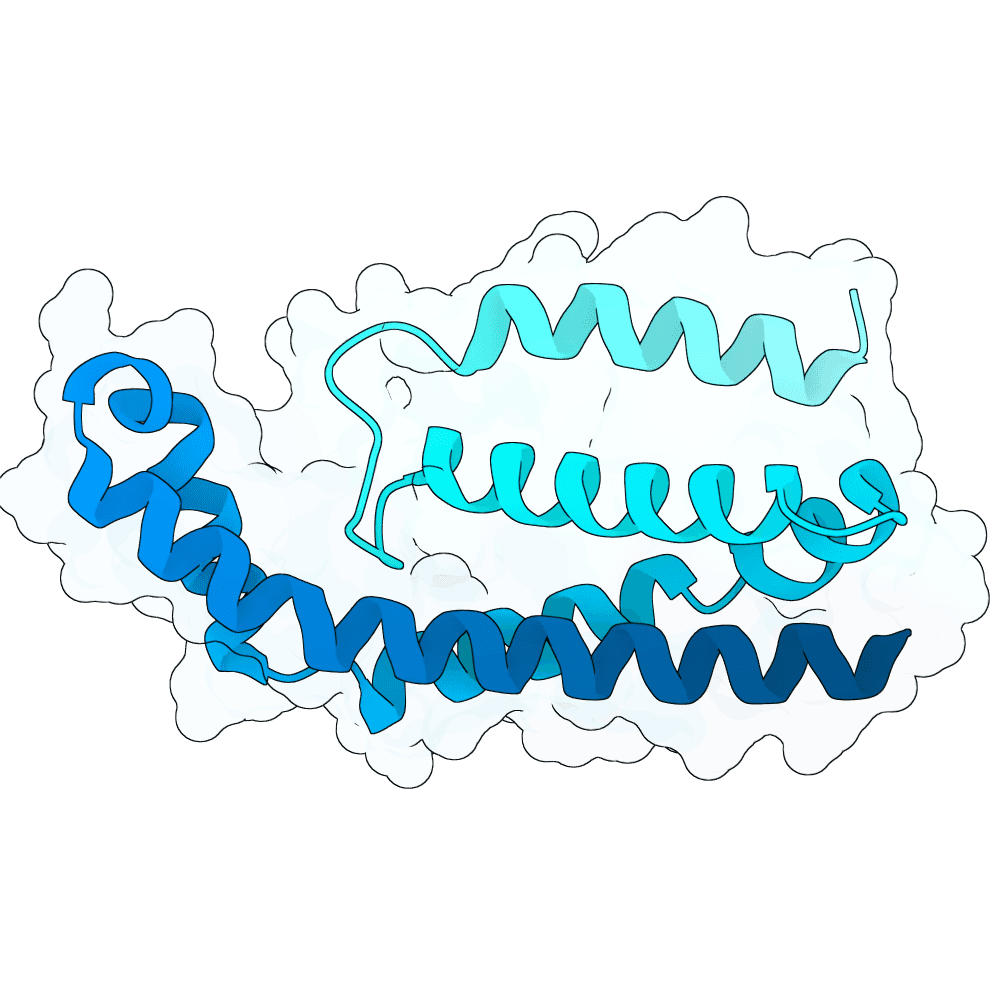 violet-ram-stone