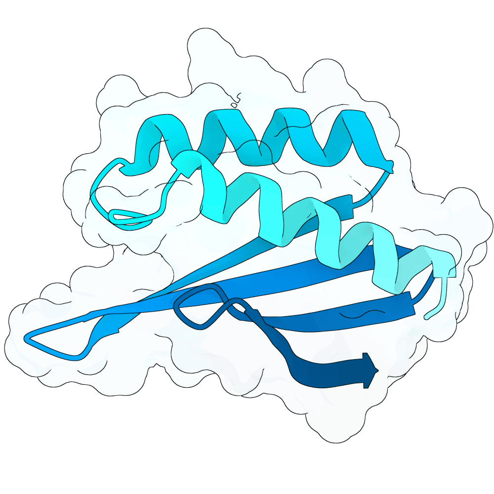 shy-heron-ice