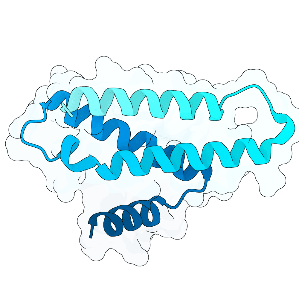 calm-shark-cloud