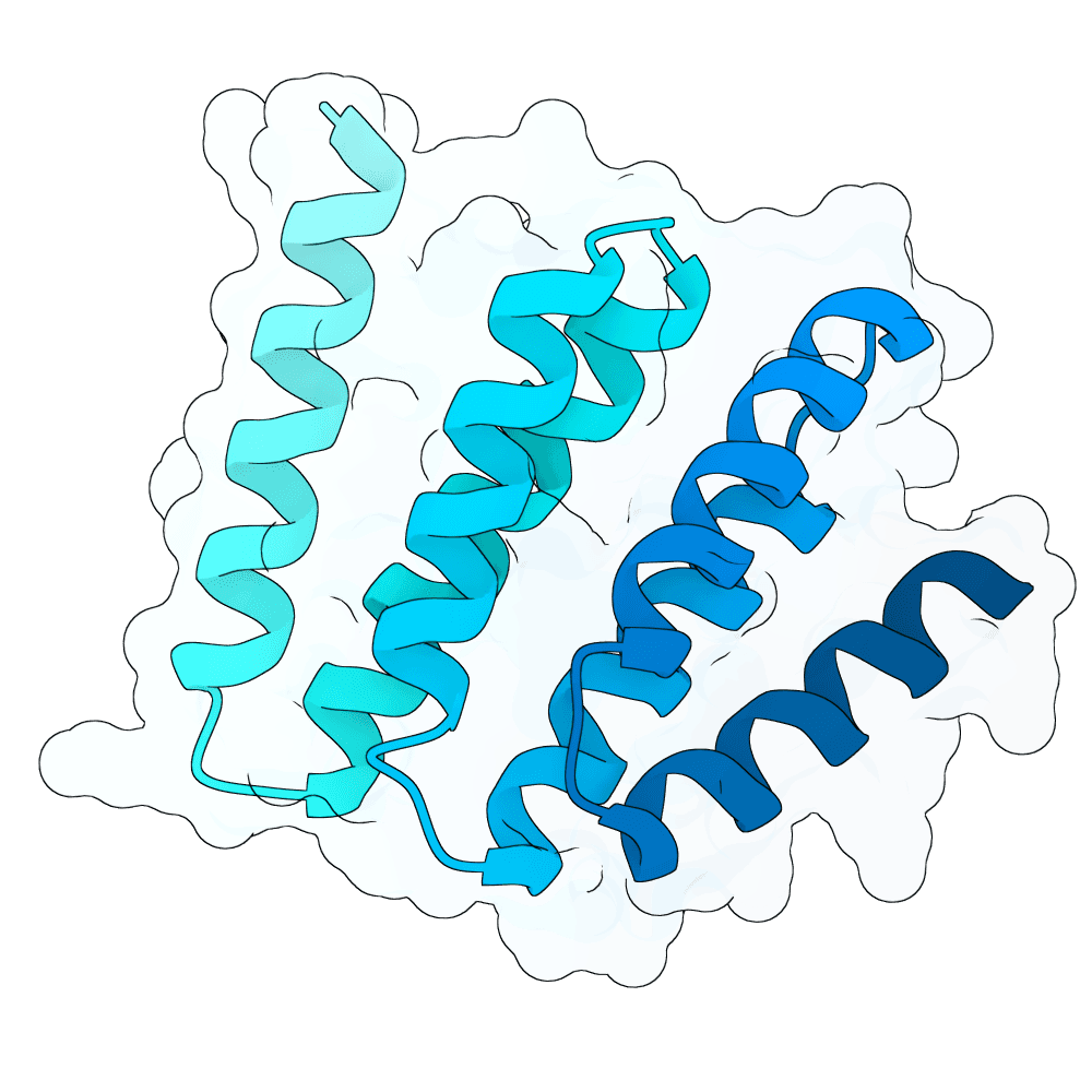 rapid-ox-reed