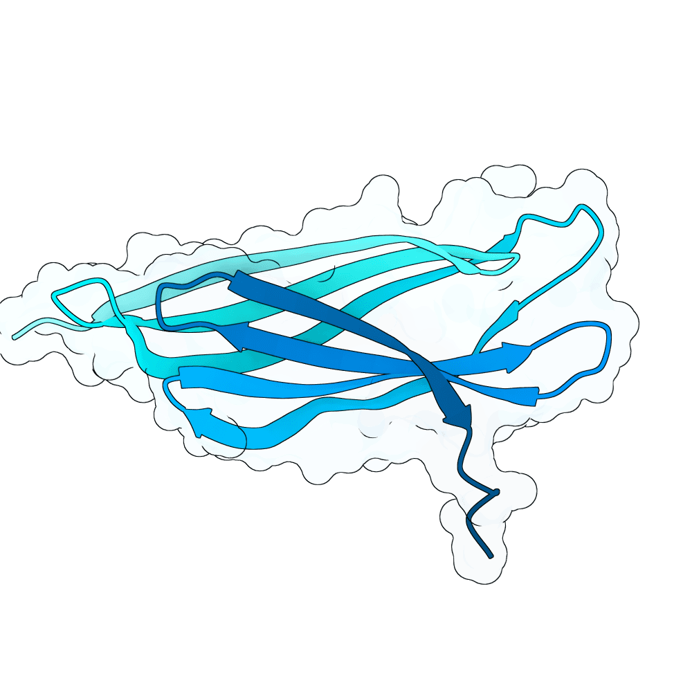 noble-raven-leaf
