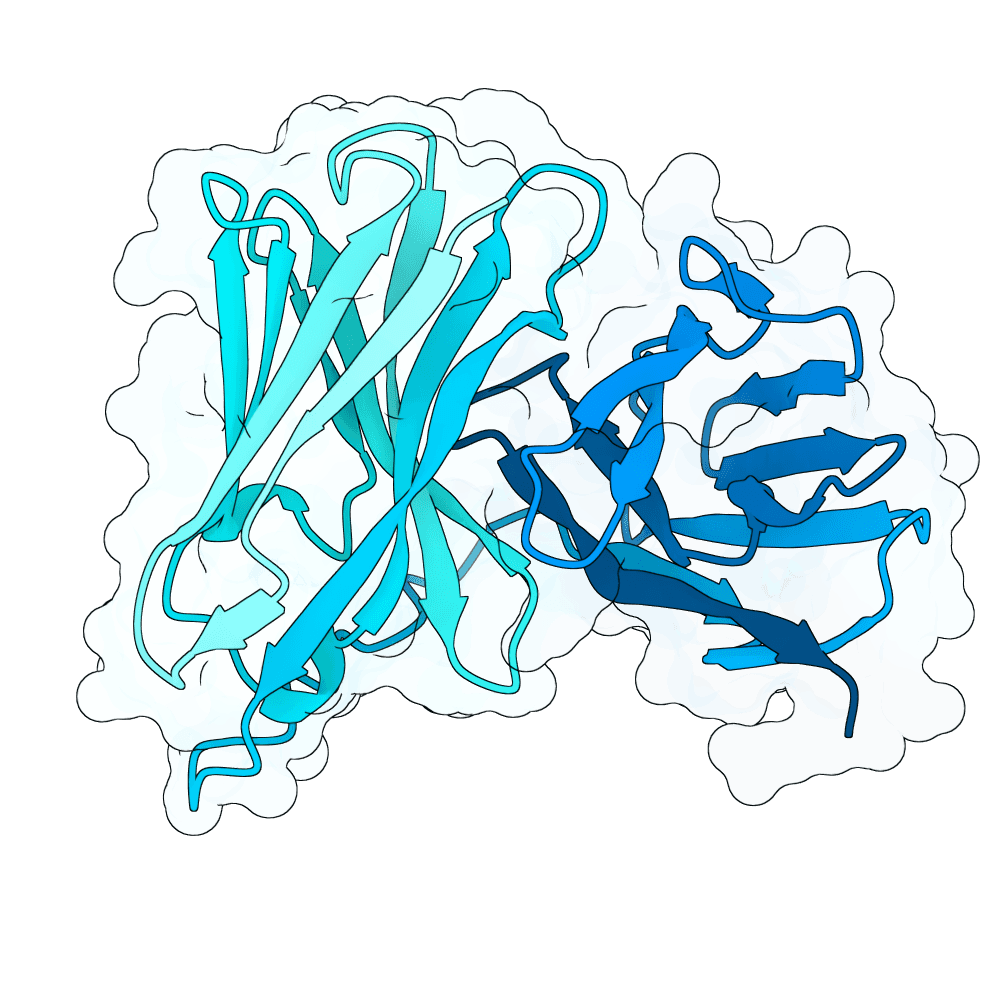 bright-bat-iron