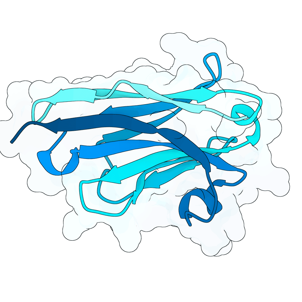 quick-falcon-quartz