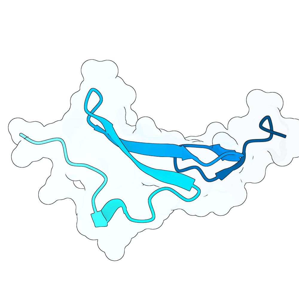 brisk-swan-frost