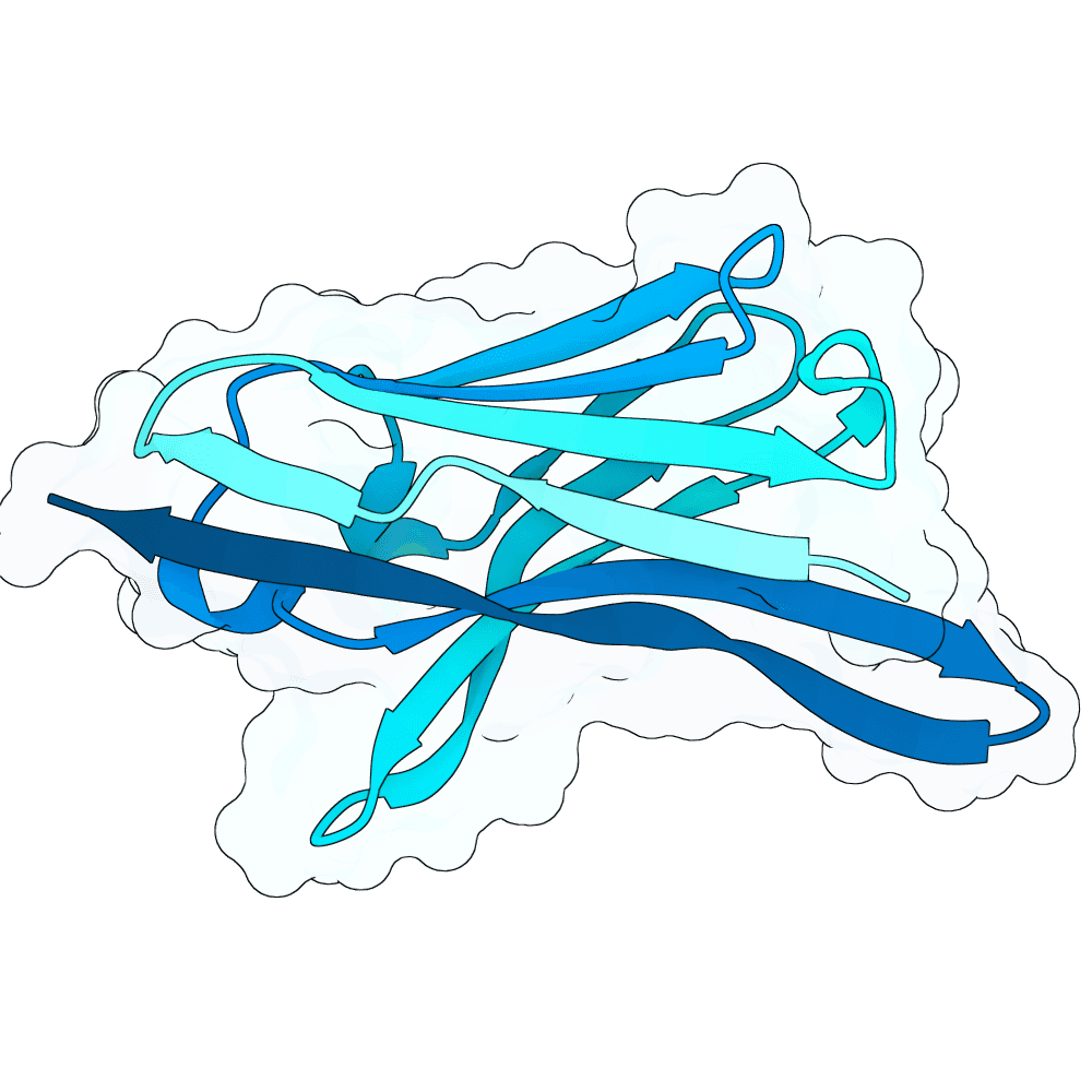 crimson-mole-cypress