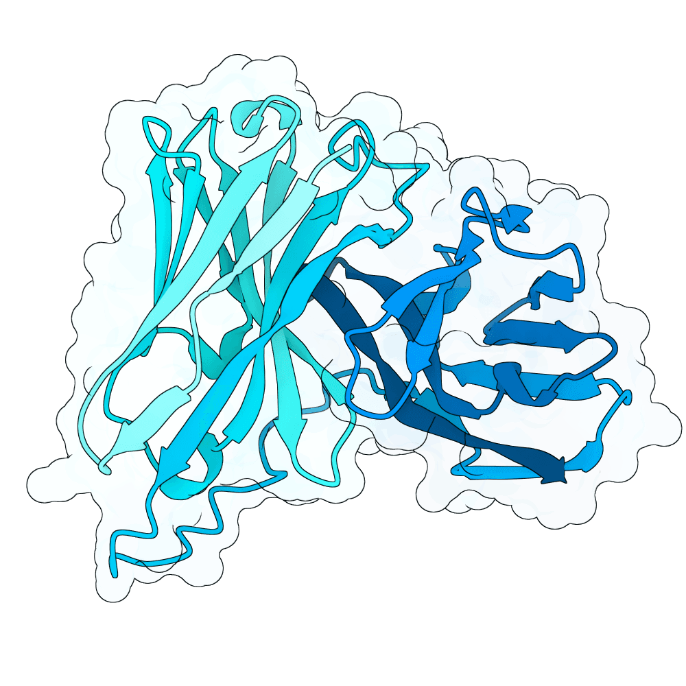 brisk-vole-quartz