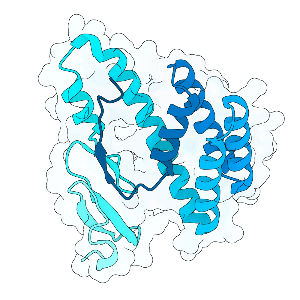azure-swan-opal
