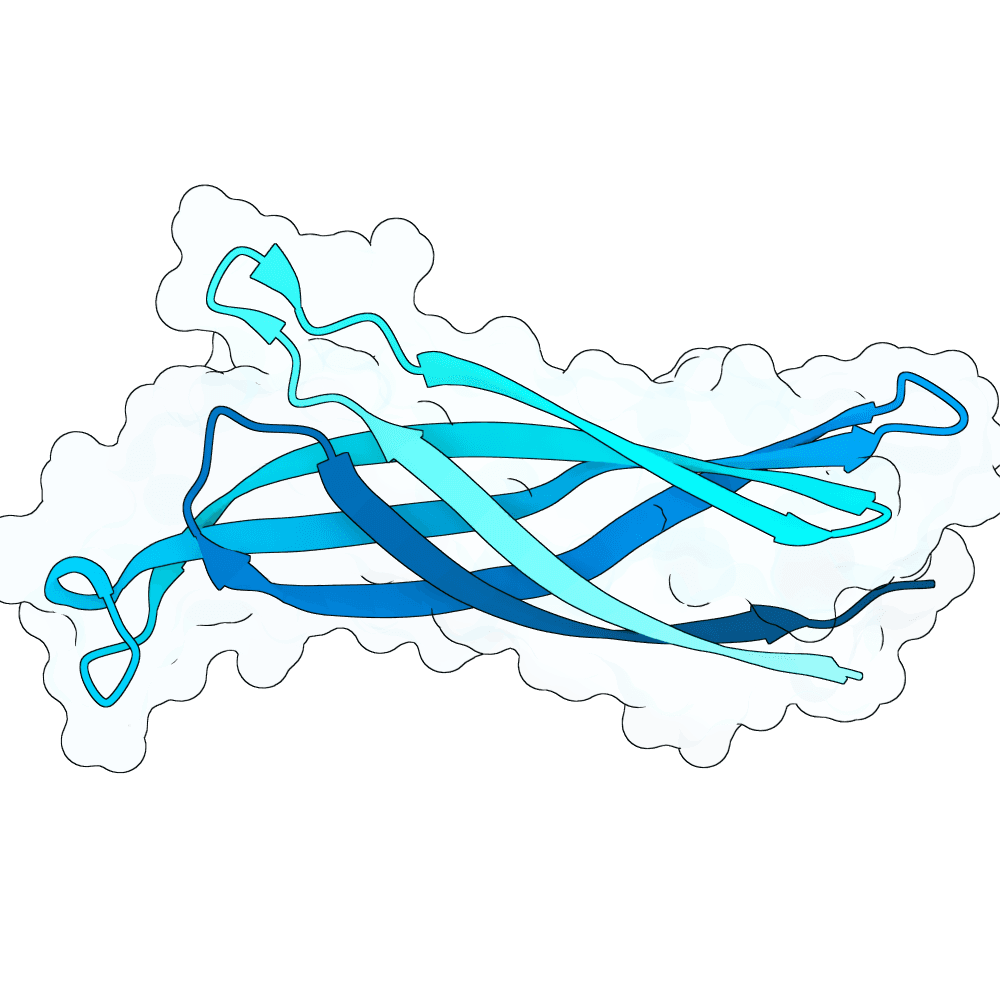 deep-hawk-wave