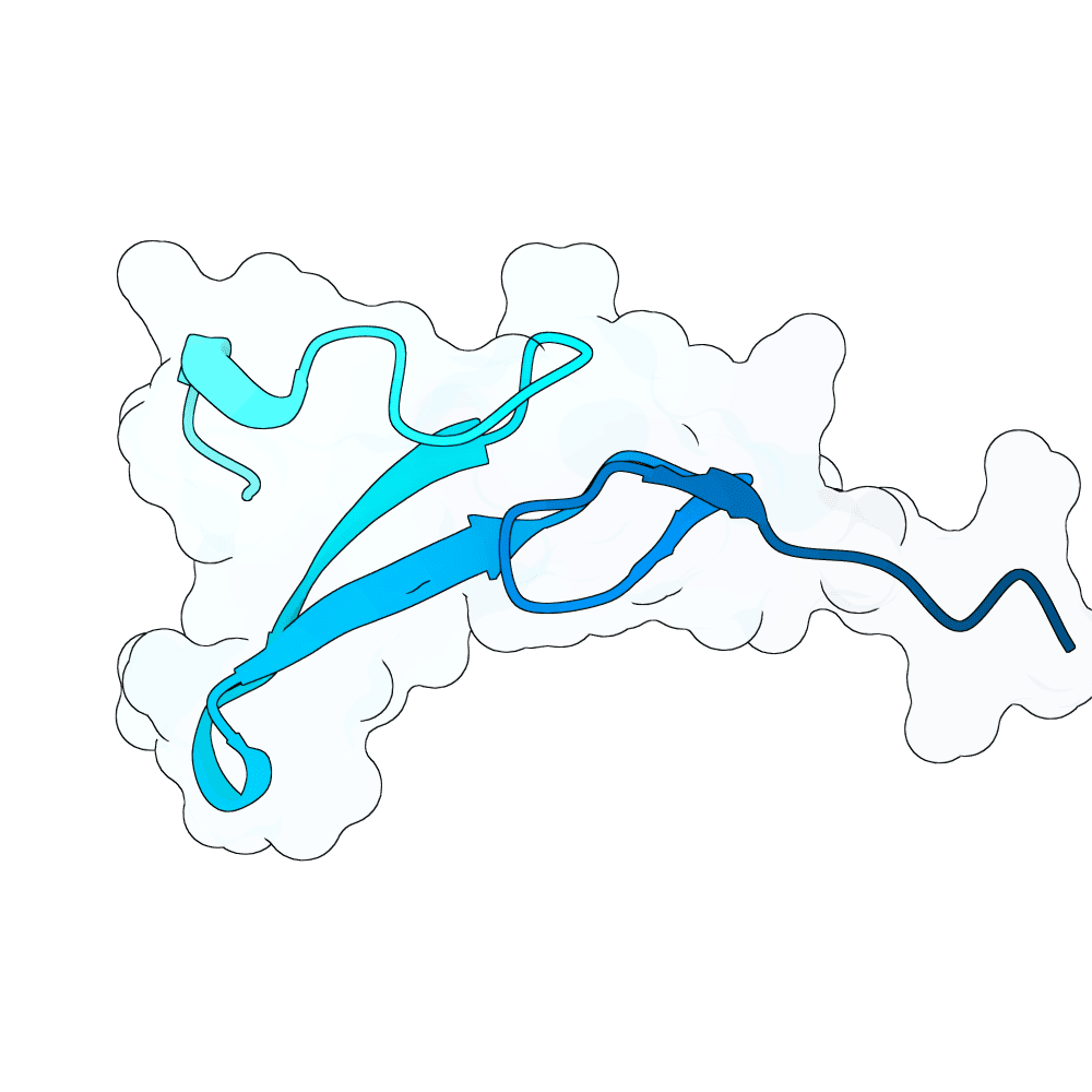 rapid-ox-vine