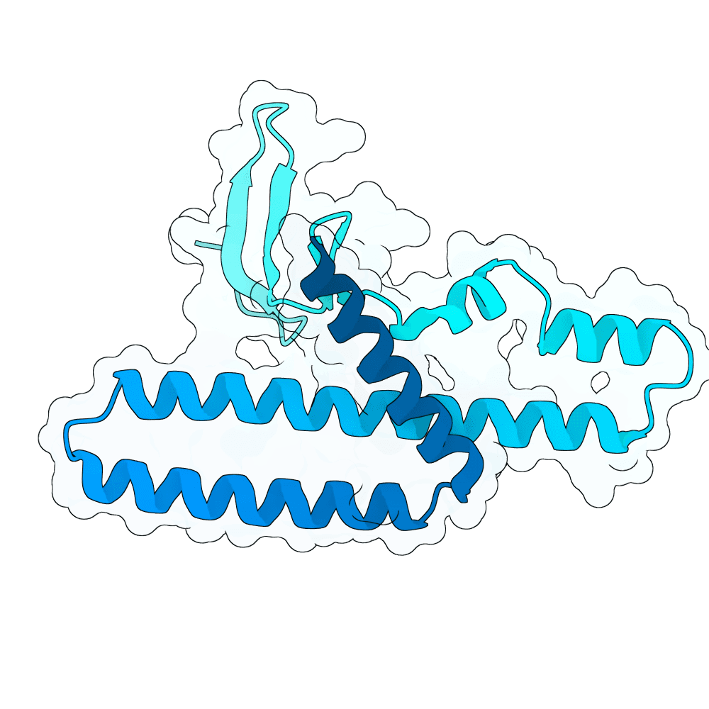azure-gecko-oak