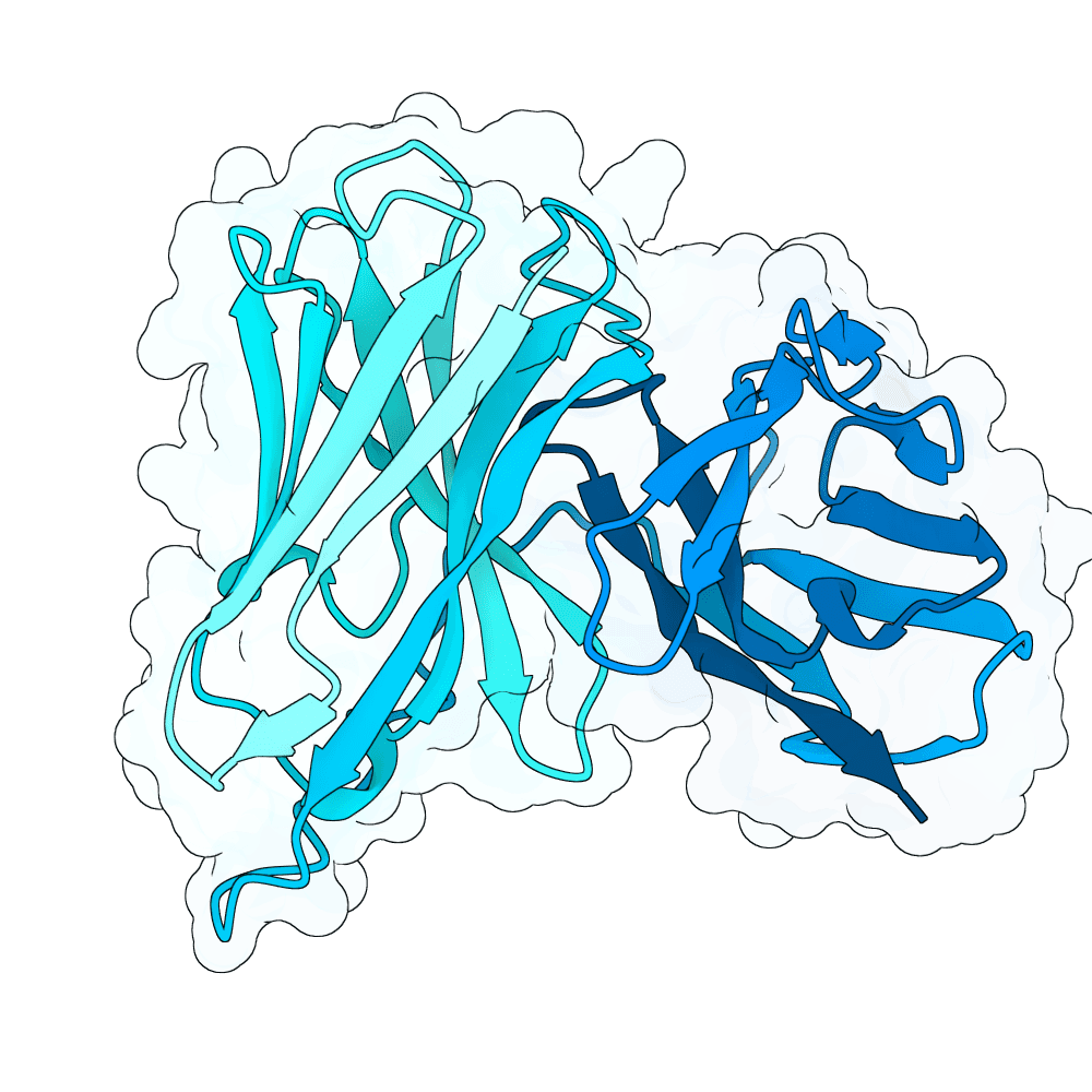 soft-zebra-wave