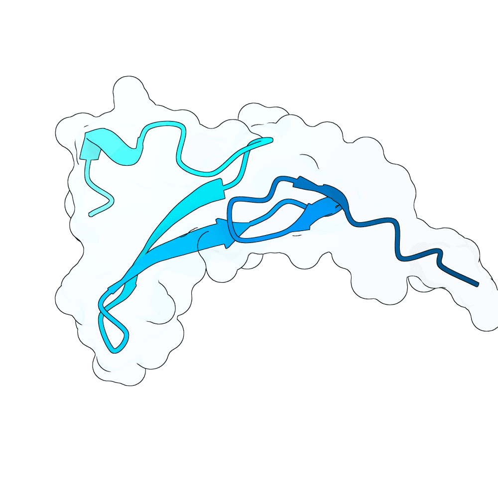amber-lion-frost