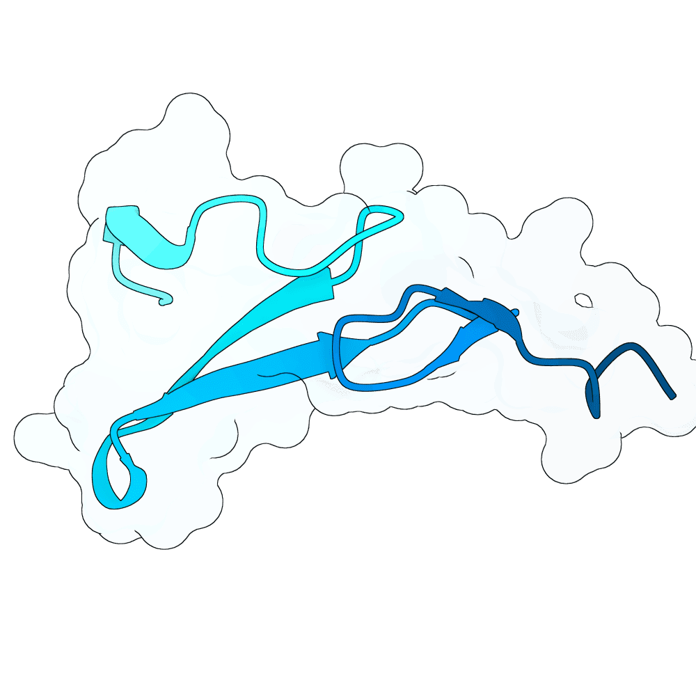 noble-orca-onyx