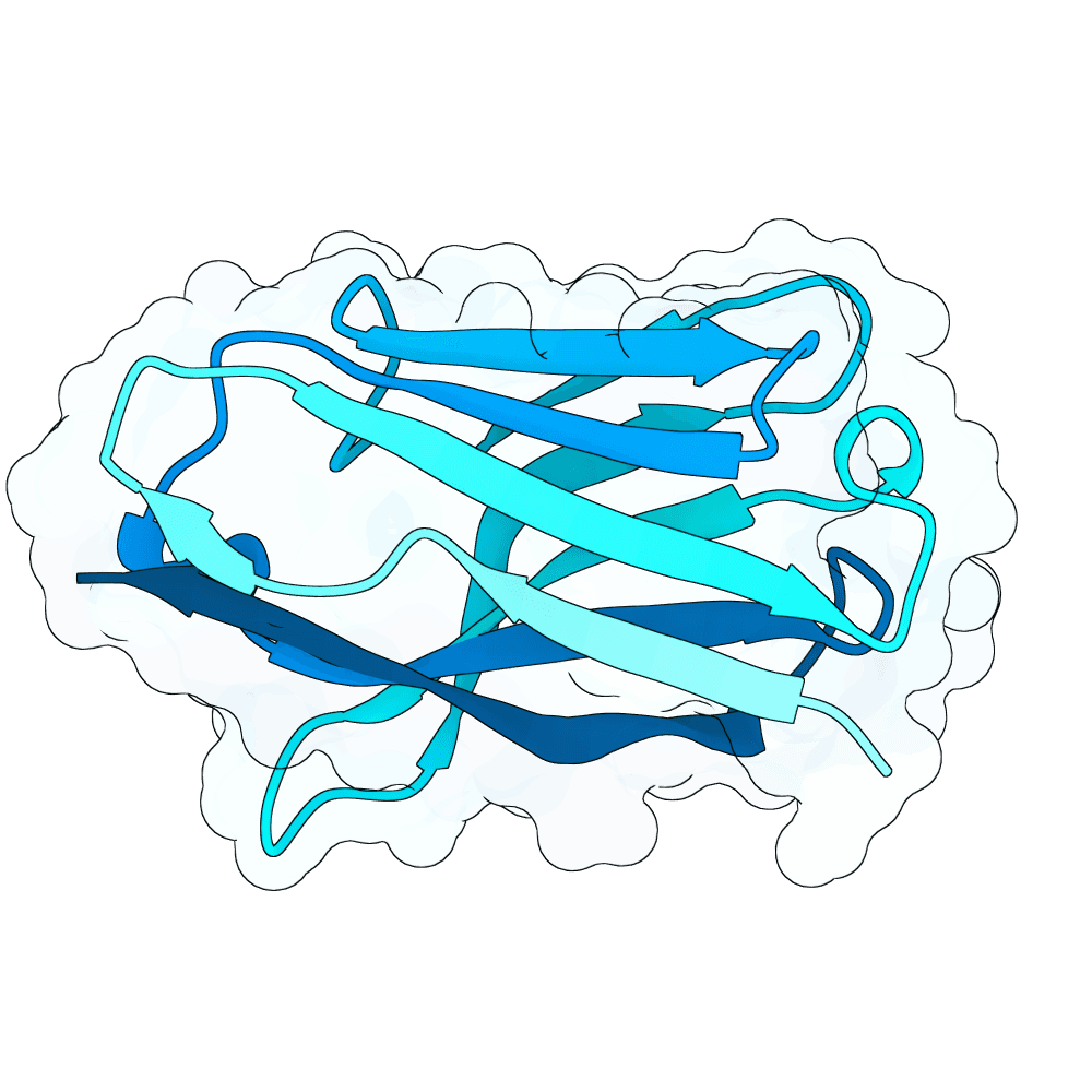 silent-crow-ice