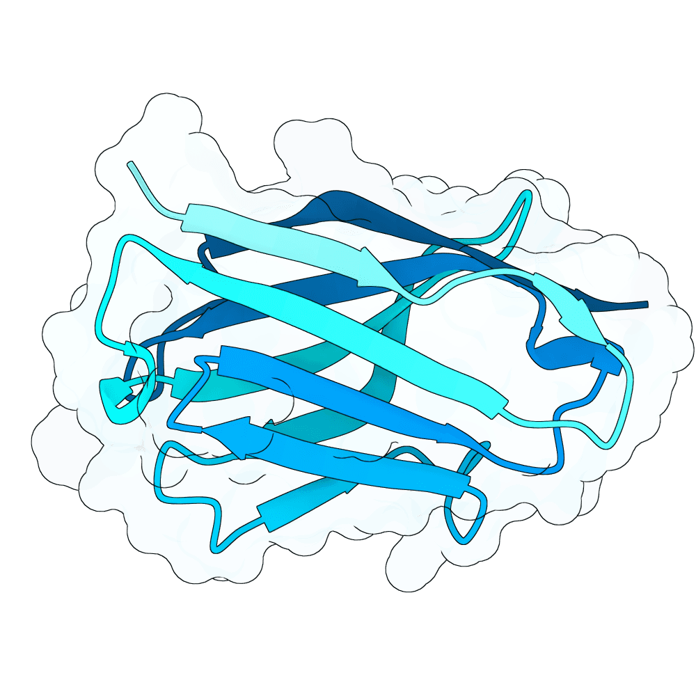 dark-bison-ice